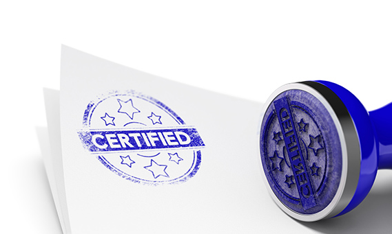 Certified Background MG不朽情缘(中国区)官方网站